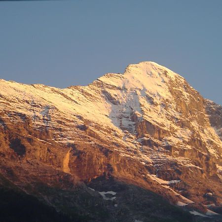 Tschuggen Apartment - No Kitchen Grindelwald Dış mekan fotoğraf