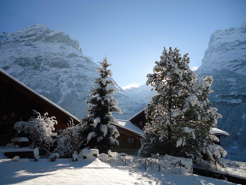 Tschuggen Apartment - No Kitchen Grindelwald Dış mekan fotoğraf