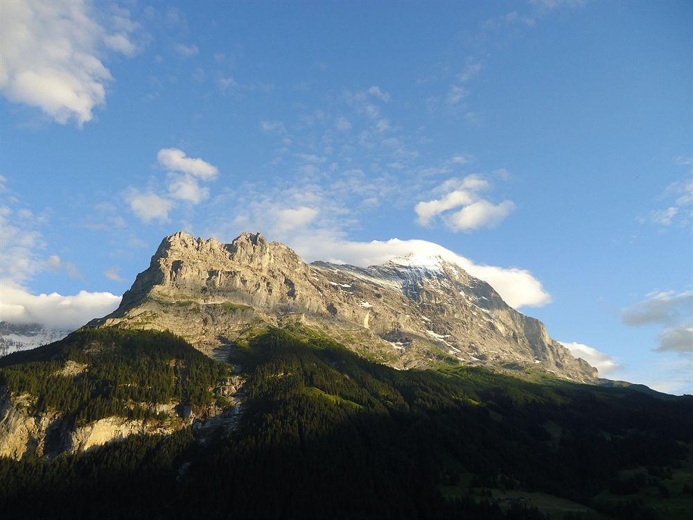 Tschuggen Apartment - No Kitchen Grindelwald Dış mekan fotoğraf