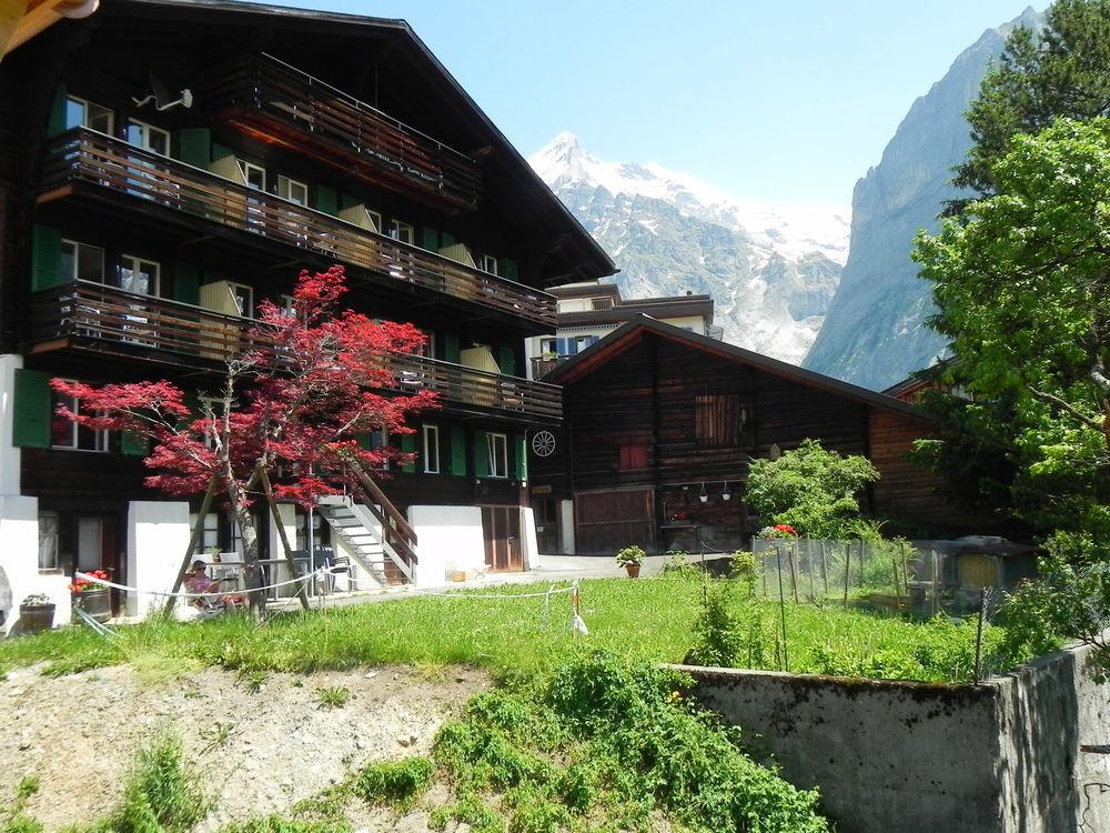 Tschuggen Apartment - No Kitchen Grindelwald Dış mekan fotoğraf