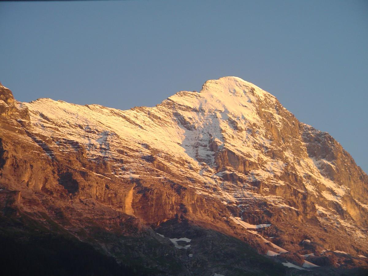 Tschuggen Apartment - No Kitchen Grindelwald Dış mekan fotoğraf