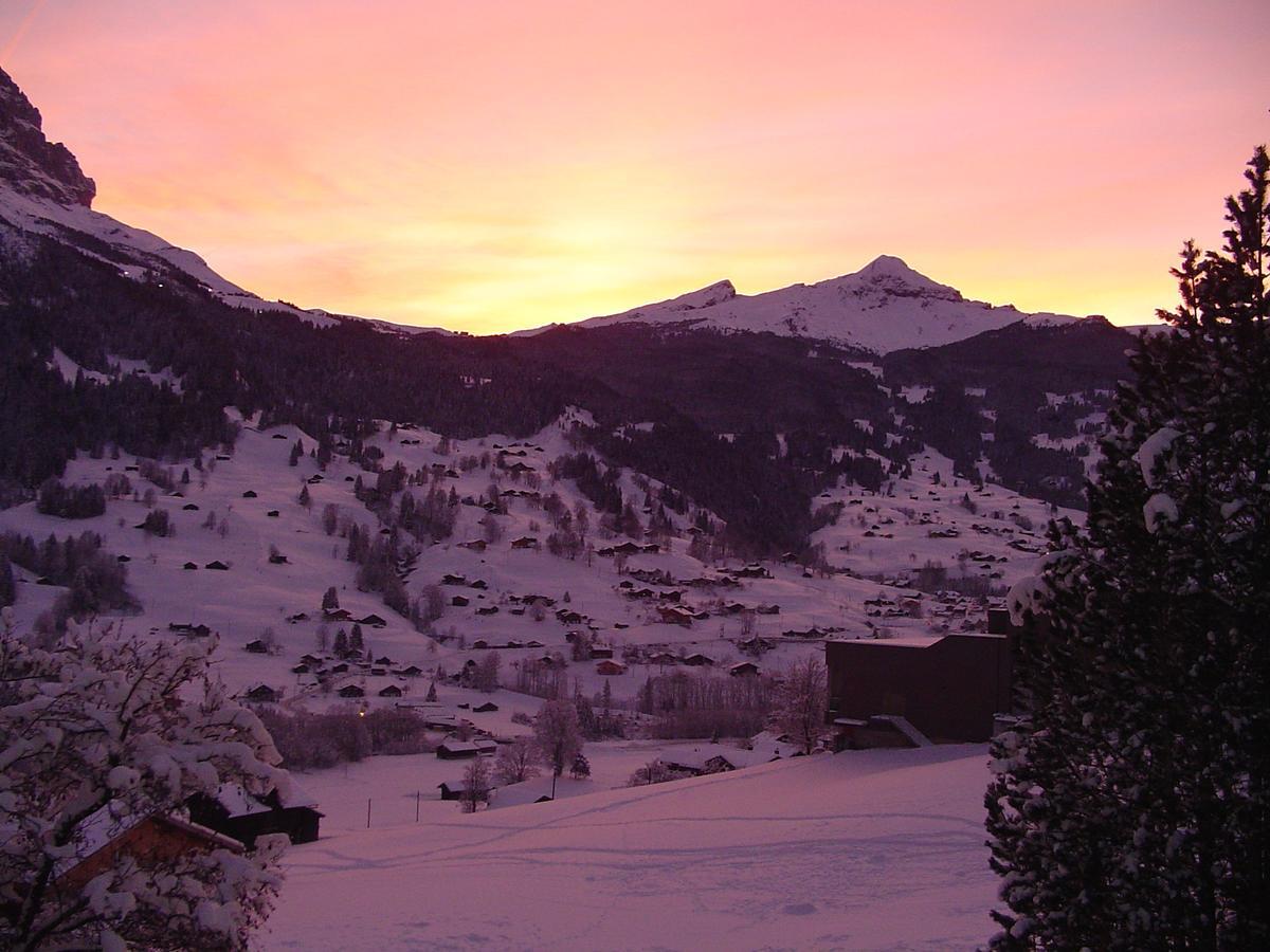 Tschuggen Apartment - No Kitchen Grindelwald Dış mekan fotoğraf