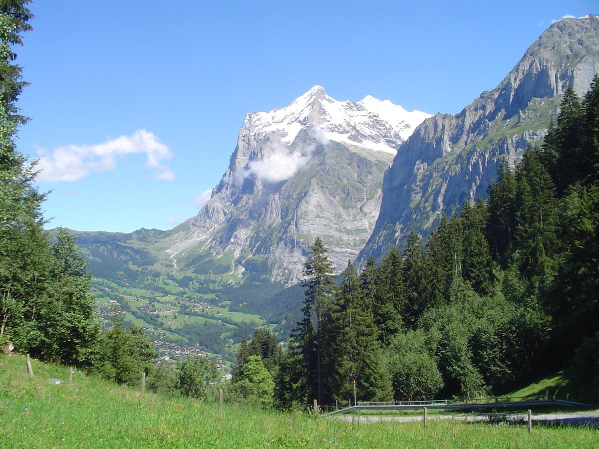 Tschuggen Apartment - No Kitchen Grindelwald Dış mekan fotoğraf