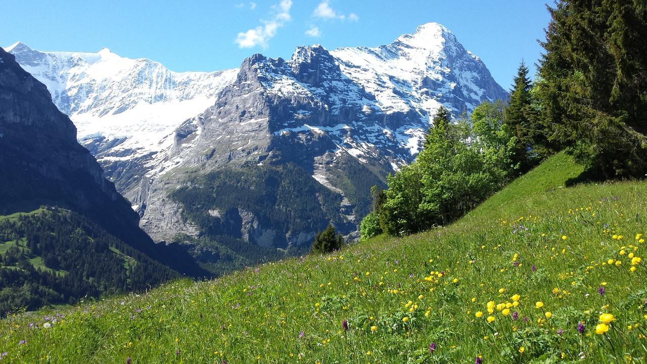 Tschuggen Apartment - No Kitchen Grindelwald Dış mekan fotoğraf