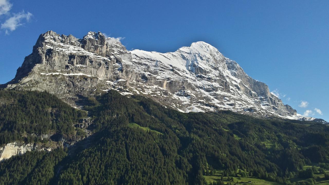 Tschuggen Apartment - No Kitchen Grindelwald Dış mekan fotoğraf