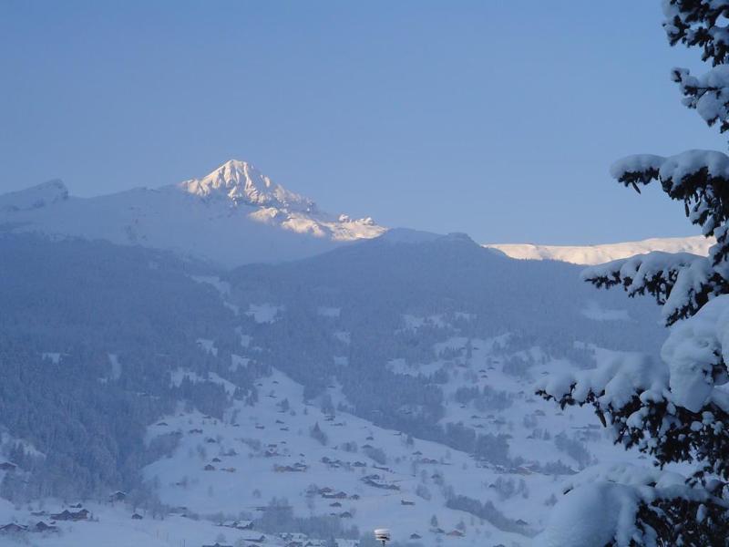 Tschuggen Apartment - No Kitchen Grindelwald Dış mekan fotoğraf