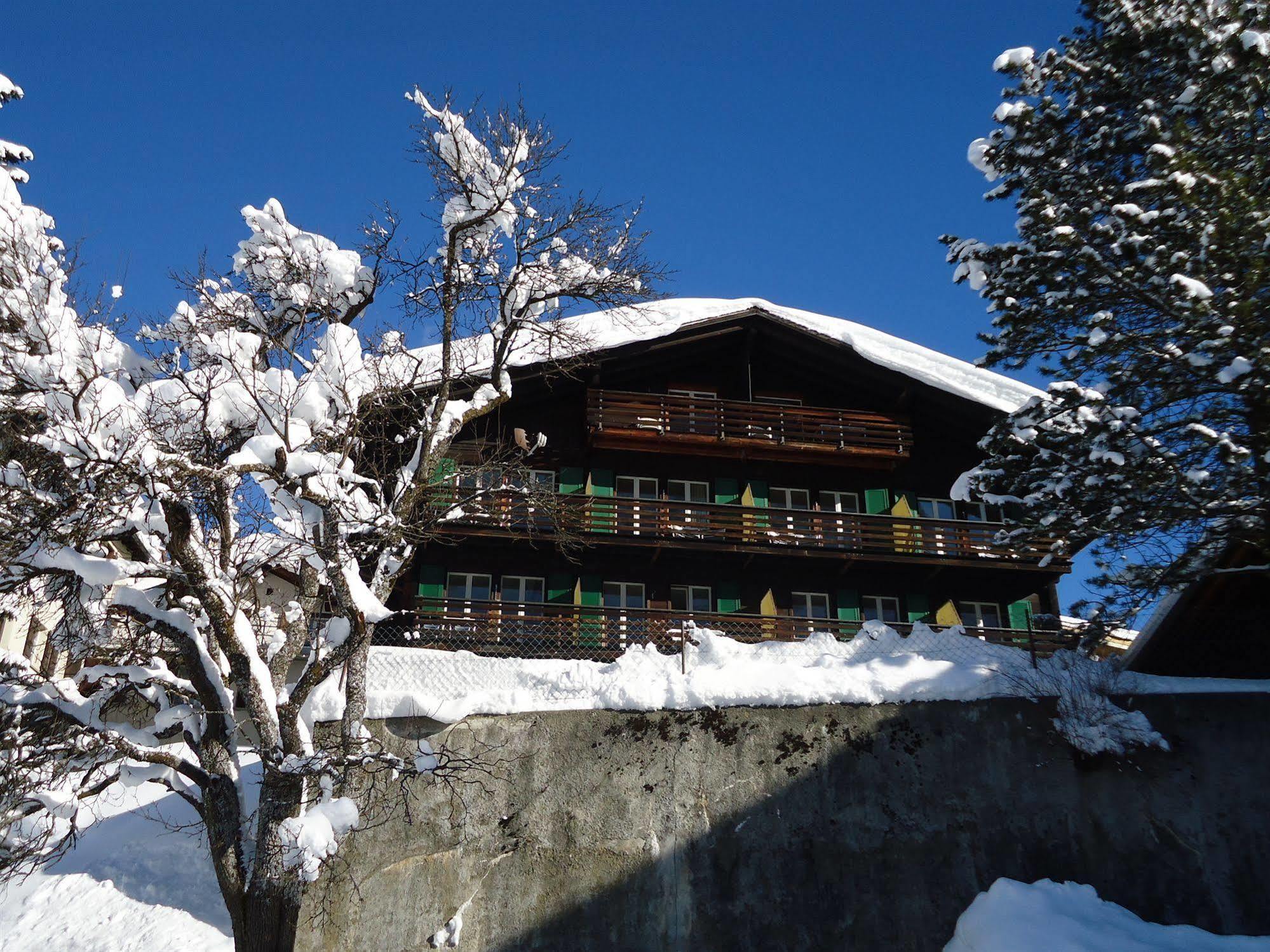 Tschuggen Apartment - No Kitchen Grindelwald Dış mekan fotoğraf