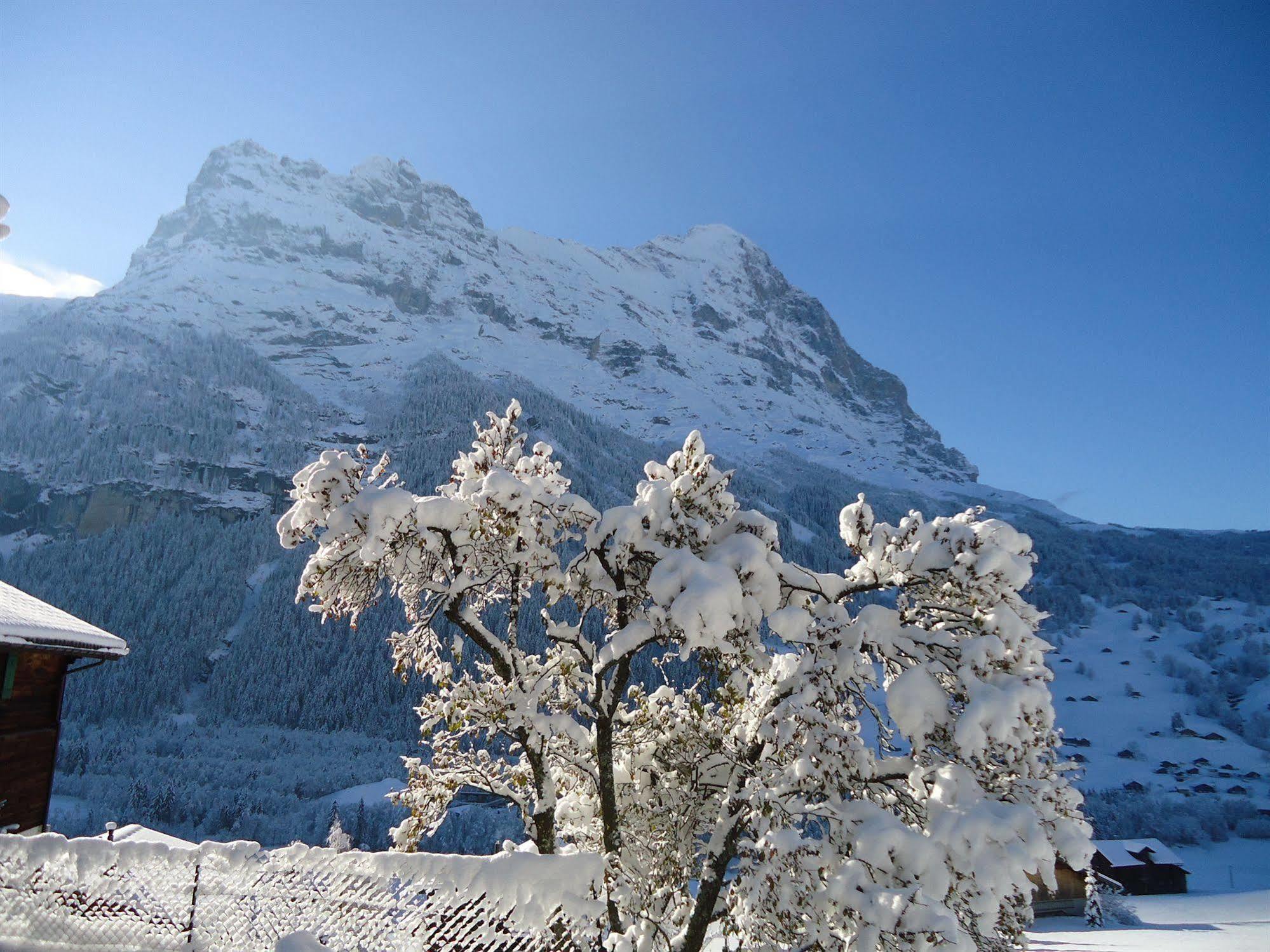 Tschuggen Apartment - No Kitchen Grindelwald Dış mekan fotoğraf