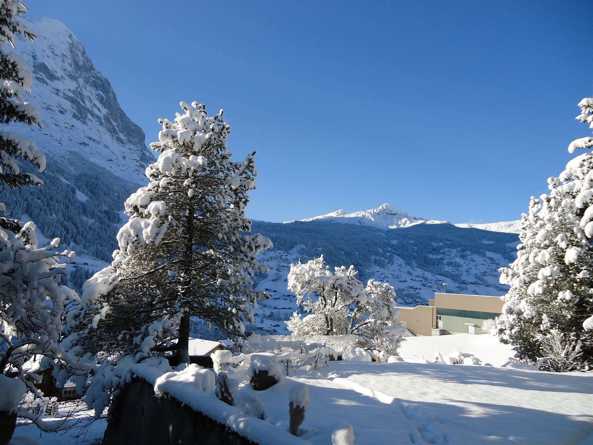 Tschuggen Apartment - No Kitchen Grindelwald Dış mekan fotoğraf