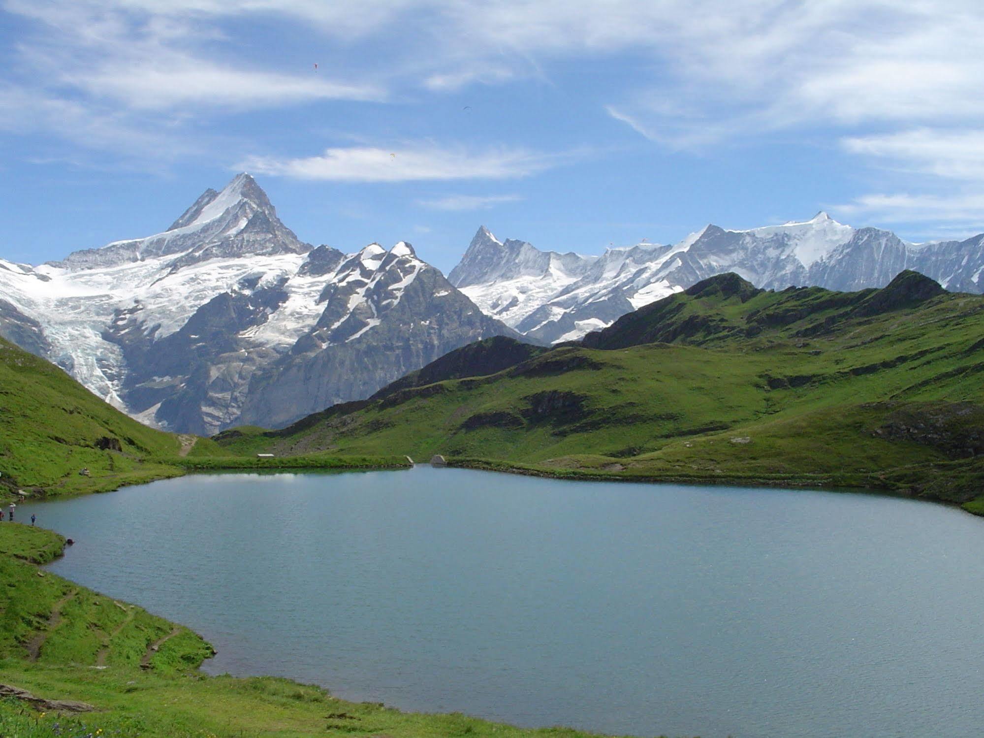 Tschuggen Apartment - No Kitchen Grindelwald Dış mekan fotoğraf