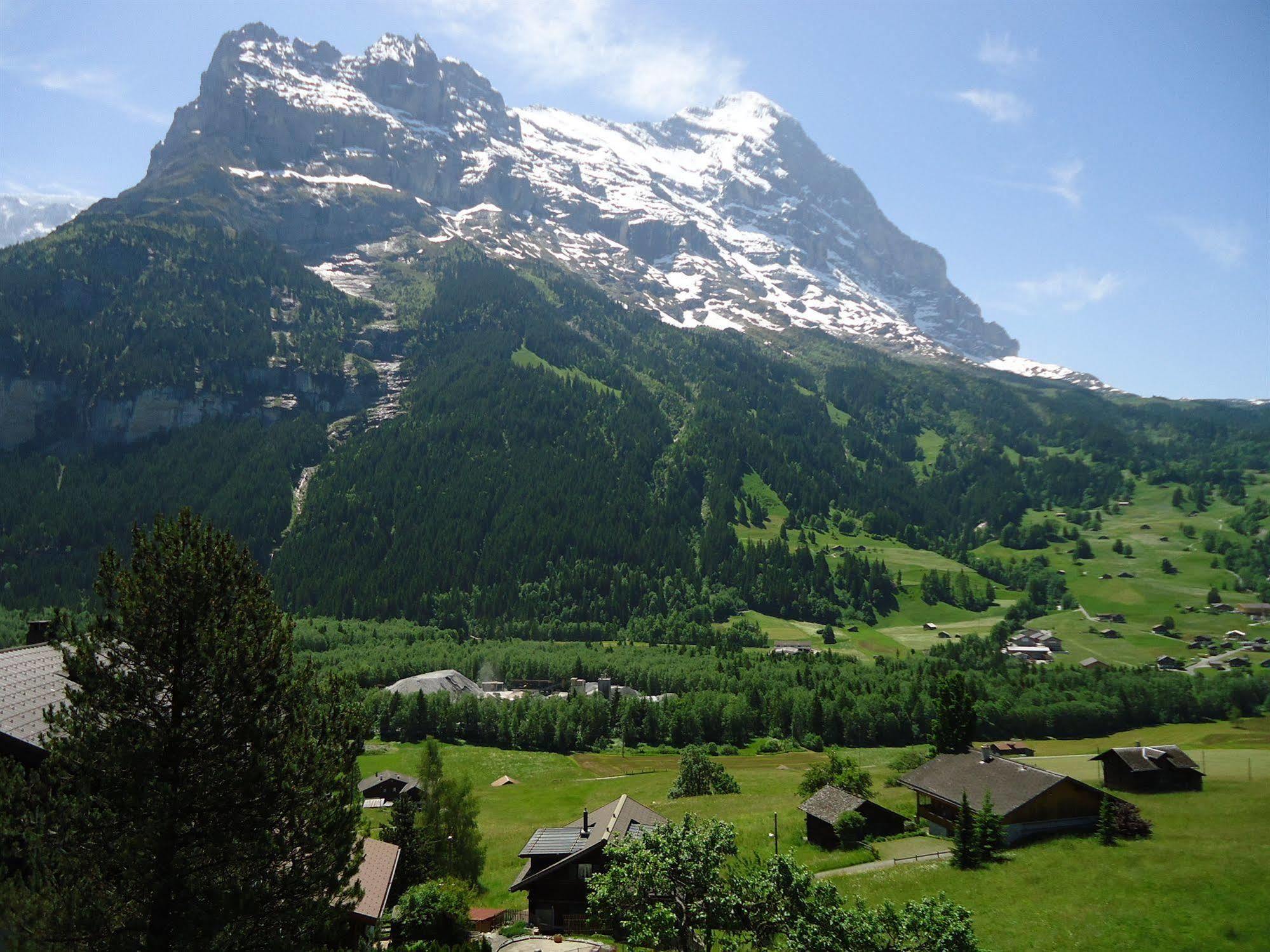 Tschuggen Apartment - No Kitchen Grindelwald Dış mekan fotoğraf